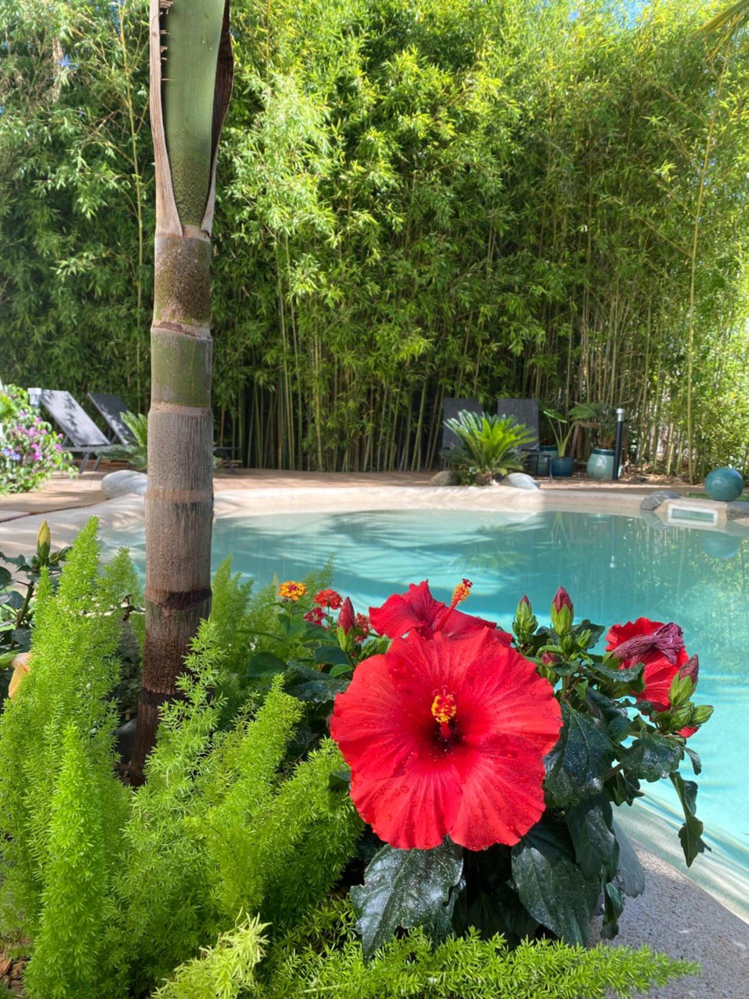 Appt Chalet Tarbes centre calme 2ch/Jardin Leilighet Eksteriør bilde